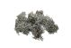 Grey Moss 500gr white washed 037937