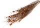 Bell Reed mit Leaves  100g natural 118953