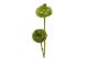 Artischocke Flower 500gr olivgrün 131975