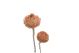 Artischocke Flower 500gr altrosa/pink 131977