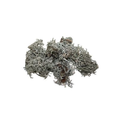 Grey Moss 500gr white washed 037937
