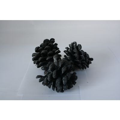 Zapfen Pinea (12) schwarz frosted, Hobbypack. 059059