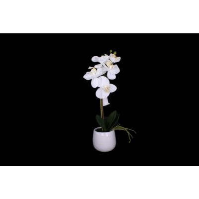 Real Touch Phalaenopsis x2 31 cm weiss 100948