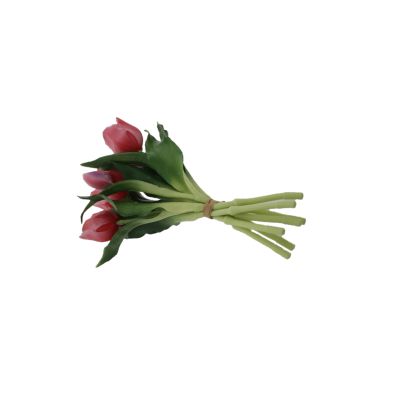 Tulpen-Bund (7) Deko 22 x 29 cm beauty 110063