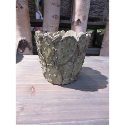 Zement-Topf 16 x 16 x 14 cm Kaktus 103871