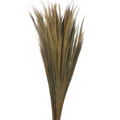 Broom Grass 110 cm 200g bunch natural 124510