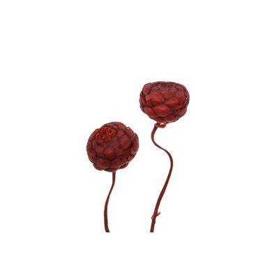 Artischocke Flower 500gr rot 131976